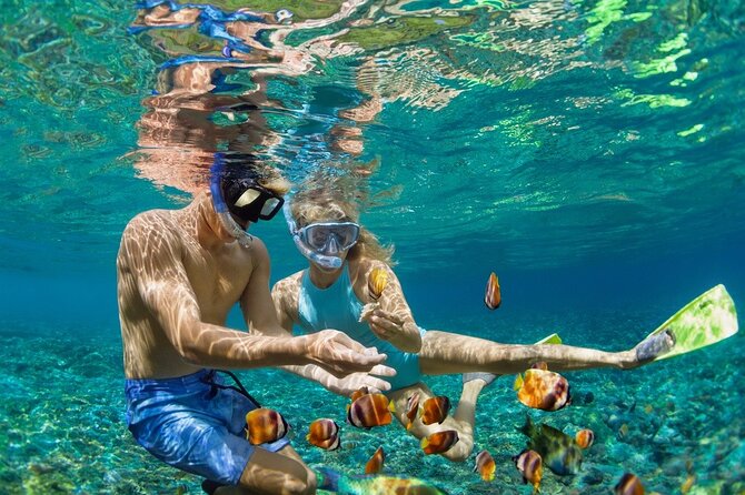 5-Island Speedboat Tour in Cartagena and the Rosario Islands - Key points to know before booking