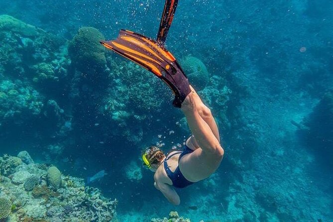 5 islands tour to rosario Islands with snorkeling activity! - Rosario Islands: swimming, food, and a private island stop