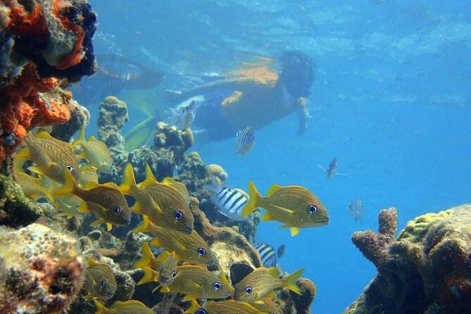 5 islands tour to rosario Islands with snorkeling activity! - Barú and Playa Blanca: the final beach stop