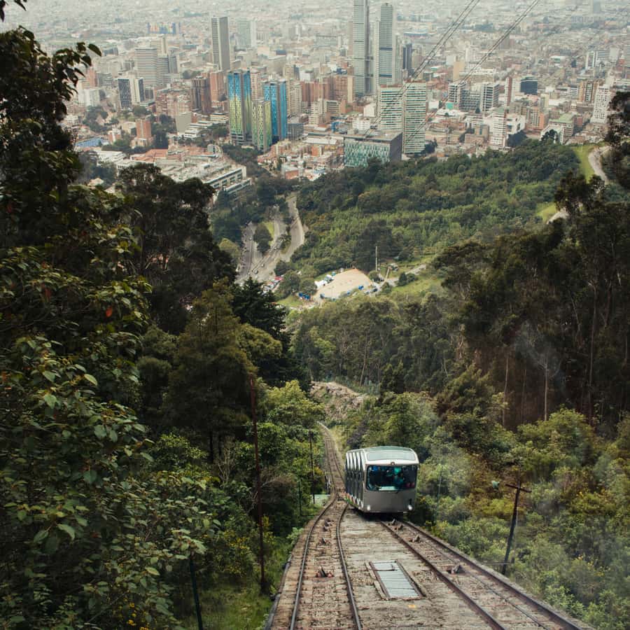7-hour City Tour of Historic Bogotá with Monserrate - Fruit, juice, and a serious coffee lesson