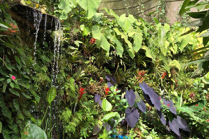 Admission to Andoke Butterfly Center in Cali with Release Ritual - The small stages: eggs, caterpillars, and chrysalises