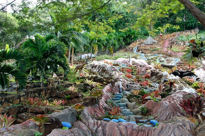 Admission to Andoke Butterfly Center in Cali with Release Ritual - Why the $19 price can be good value