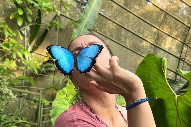 Admission to Andoke Butterfly Center in Cali with Release Ritual - Starting with Colombia in stone