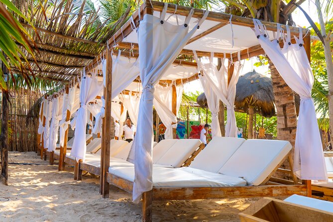 Adventure full day Isla Barú + Mangroves + Snorkel + bioluminescent plankton - The mangrove boat ride and fish stop