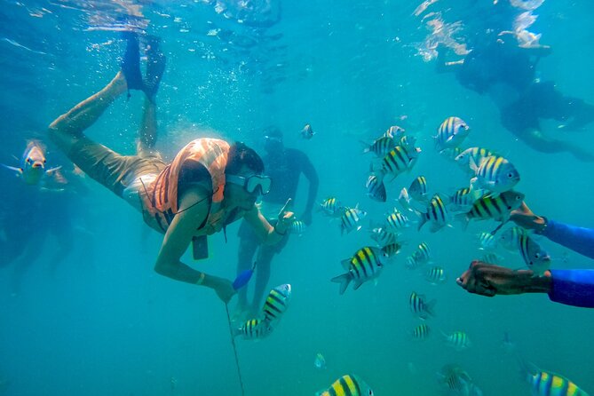 Adventure full day Isla Barú + Mangroves + Snorkel + bioluminescent plankton - Playa Tranquila and Mambo Beach Club