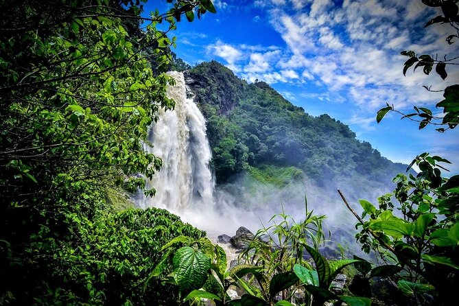 Aerial Hammocks, Zip and Waterfall Trek on Medellin Private Tour - The second flight and the ride back