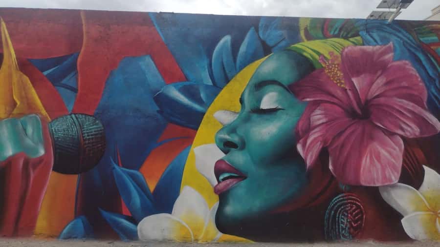 Afro Walking Tour. The colors of Cali. - Three cultural institutions with a wider purpose