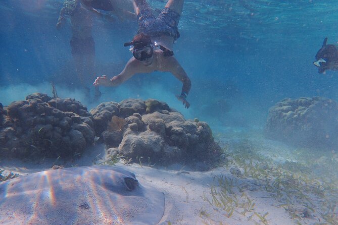 All-Inclusive Full-Day Hol Chan Snorkeling Tour - A full morning and afternoon around Hol Chan