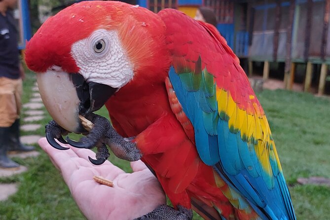 Amazon Unveiled: Private Ancestral Immersion & Conscious Luxury - From Leticia to Puerto Nariño by river