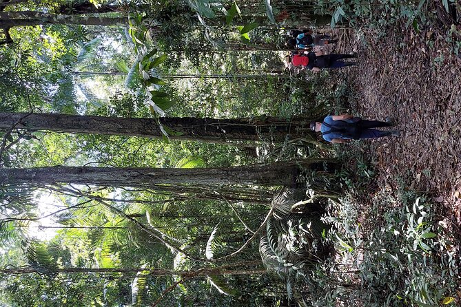 Amazon Unveiled: Private Ancestral Immersion & Conscious Luxury - Tarapoto Lakes after sunset