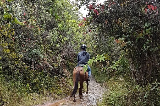 Andes Mountains Horseback Riding - Half Day - Getting settled with your horse and guide