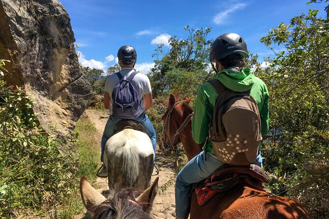 Andes Mountains Horseback Riding - Half Day - Who should book this ride?