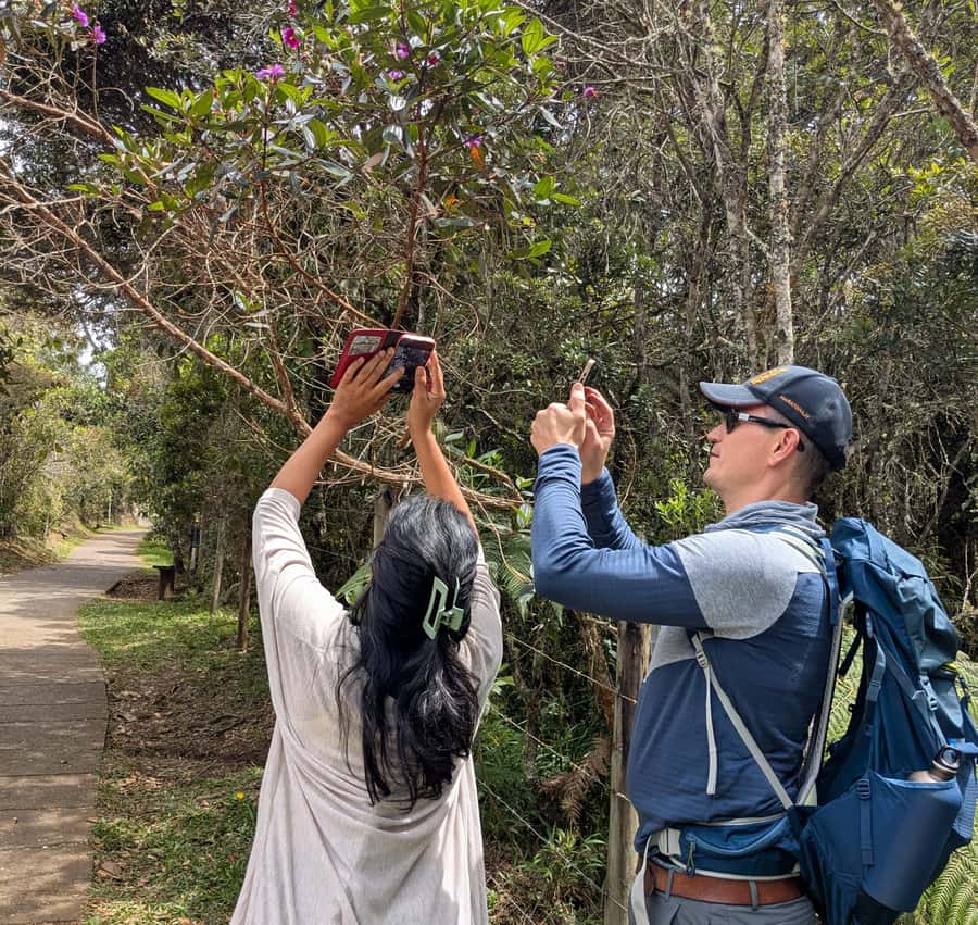 Arvi Park Walking tour and city views from Metrocable. - From Medellín to cool mountain air