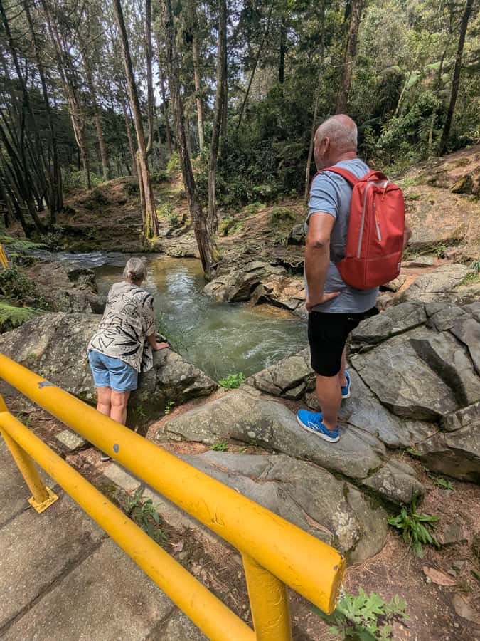 Arvi Park Walking tour and city views from Metrocable. - Who gets the best value from $15