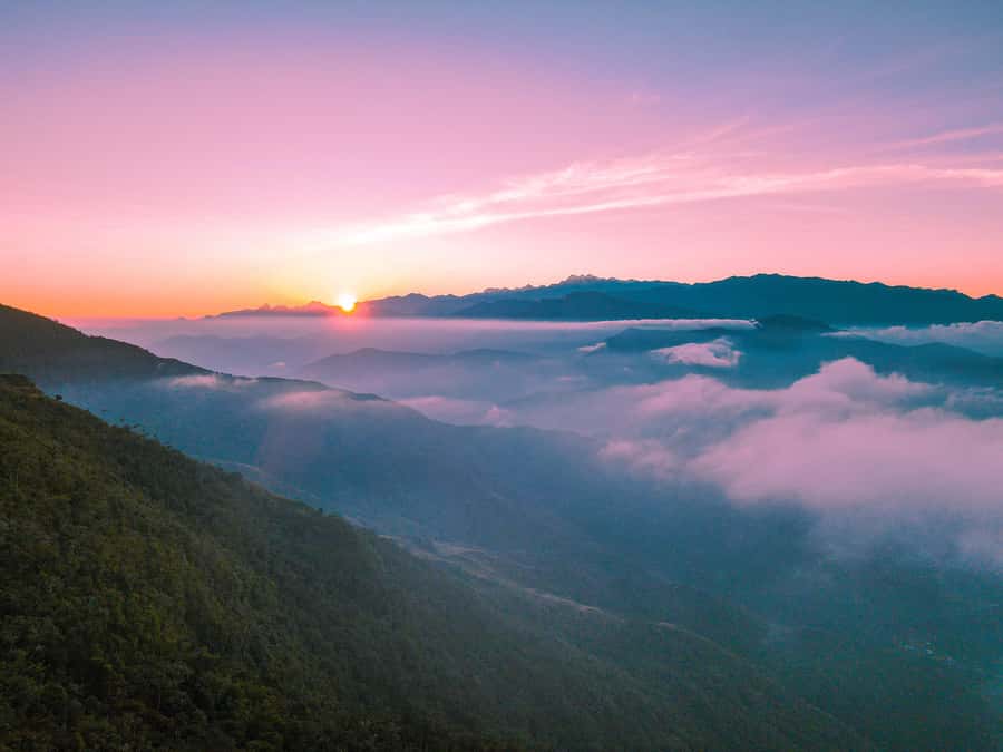 Avistamiento de aves en Minca Sierra Nevada de Santa Marta - Key points to know before booking