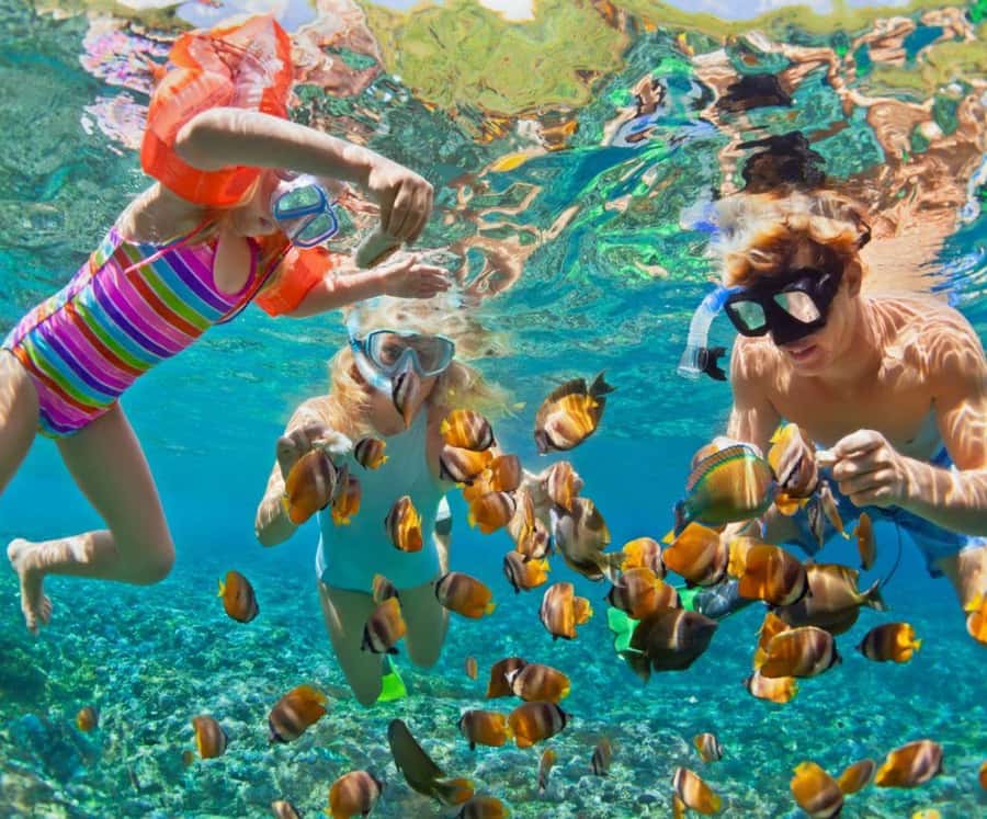 Barú: Club Freedom Beach with Mangrove and Snorkel - From Cartagena’s Clock Tower to Barú’s coast