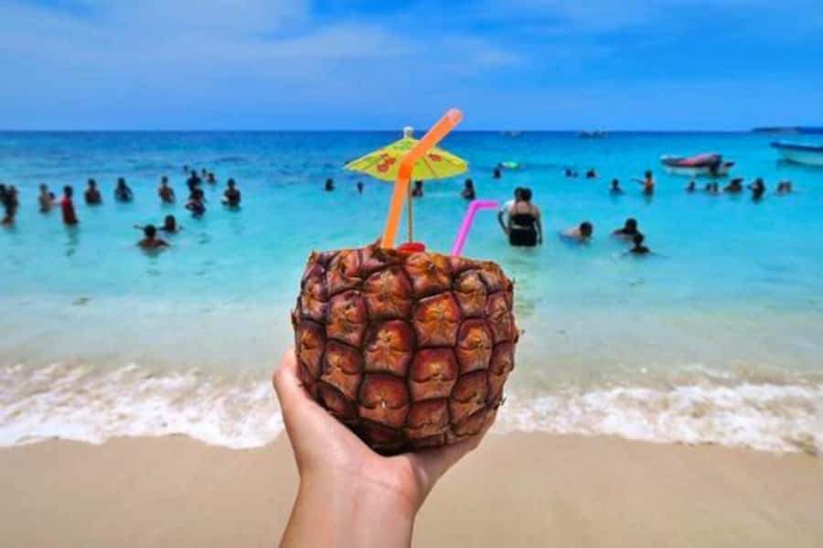 BARÚ: Enjoy the magic of Baru choosing best option for you - Who should choose each Barú option?