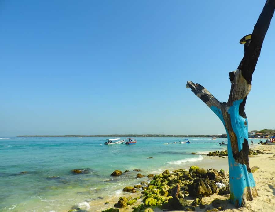 BARÚ: Enjoy the magic of Baru choosing best option for you - Is the VIP beach club worth paying for?