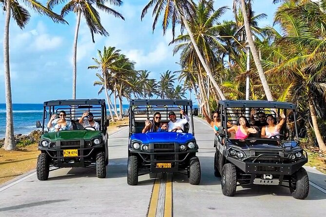 Beach Cart in San Andrés : your ideal Caribbean experience - Why a mulita fits San Andrés so well