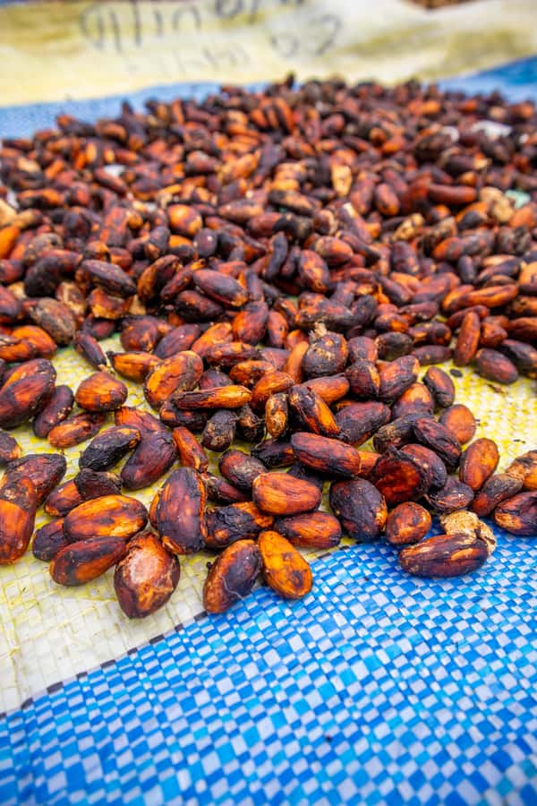 Bean to Bar: Cocoa and Chocolate Workshop - A Smart Indoor Choice in Cartagena