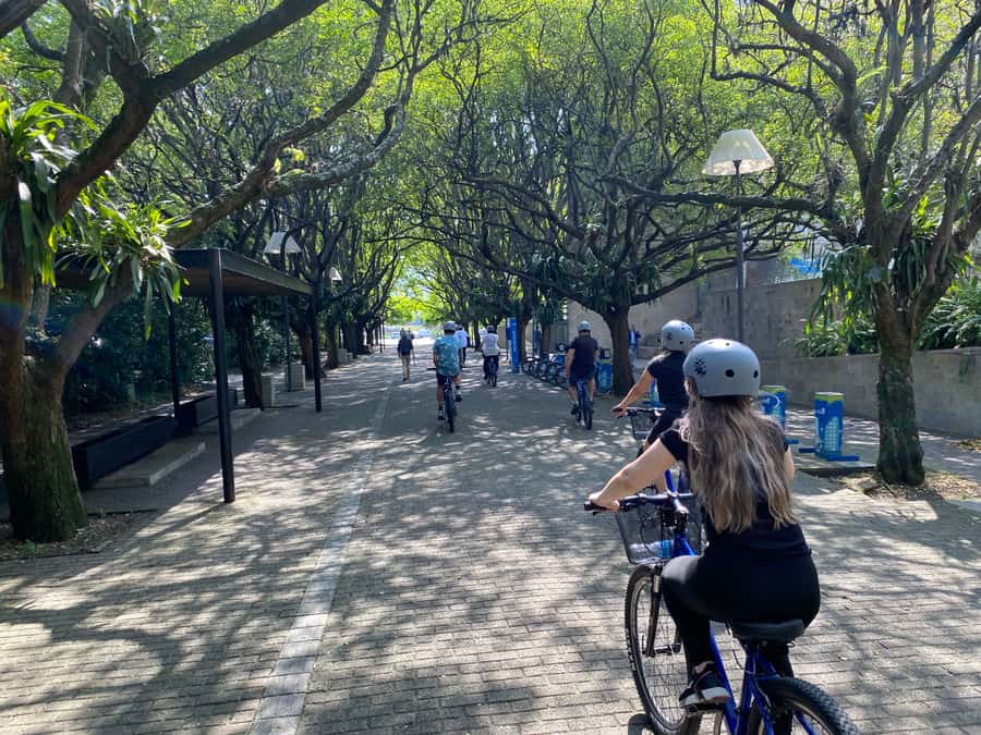 Bike Tour Medellin with Snacks and Local Beer - Plaza Botero and Medellín’s public art