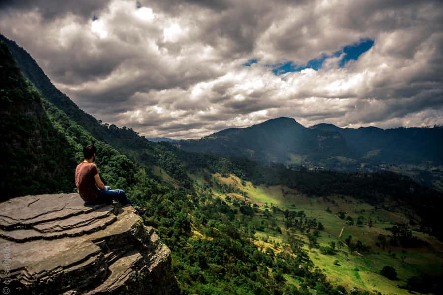 Birdwatching Day Tour at Chicaque Natural Park - Key points to know before you book