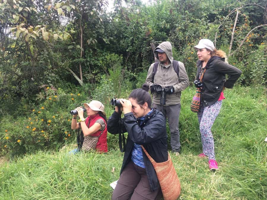 Birdwatching Day Tour at Chicaque Natural Park - Learning to notice more than a flash of feathers