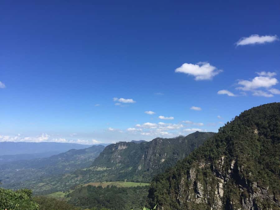 Birdwatching Day Tour at Chicaque Natural Park - Why crowd levels can change the day