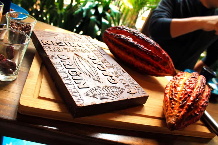 Bogotá: Candelaria Tour with Cacao and Coffee Workshop - What Four Hours Feels Like
