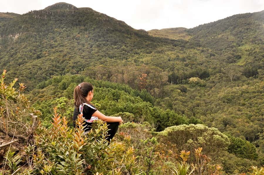 Bogota: East Hills Mountain Hike - Why Bogotá’s East Hills are worth your morning