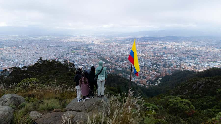 Bogota: East Hills Mountain Hike - Páramo plants and the story of Bogotá’s forest