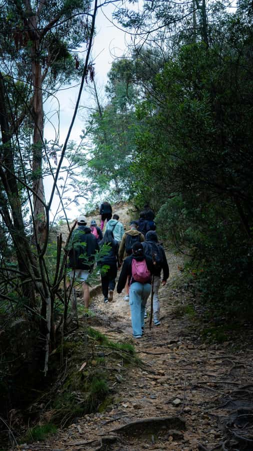 Bogota: East Hills Mountain Hike - Reaching Moyas at 3,100 meters