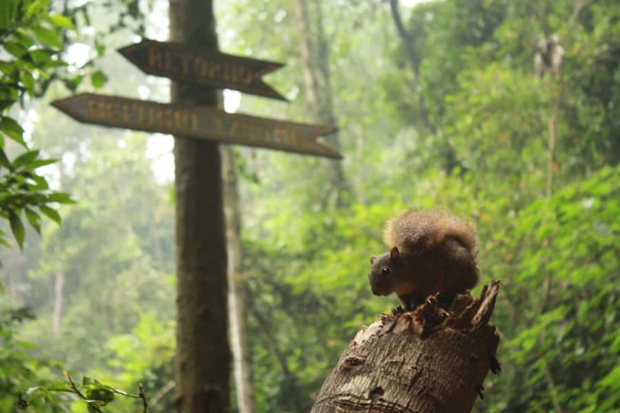 Bogota: Explore the forest and bird watching at Chicaque Natural Park - Key points to know before you go