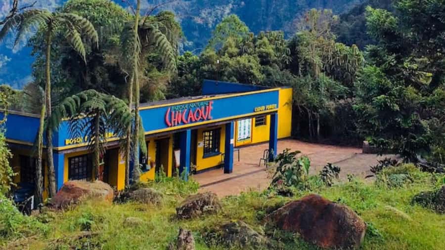 Bogota: Explore the forest and bird watching at Chicaque Natural Park - Leaving Bogota for Chicaque’s cool mountain air