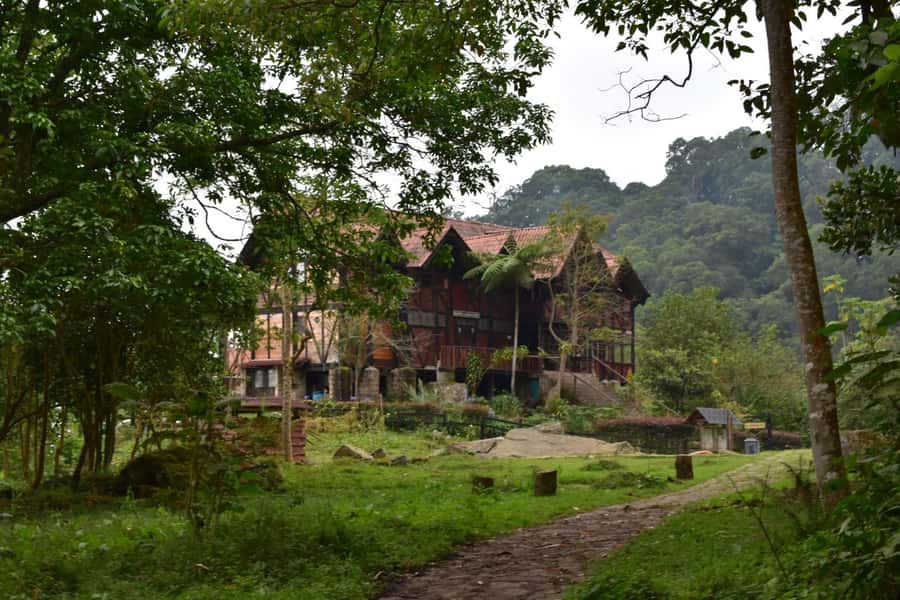 Bogota: Explore the forest and bird watching at Chicaque Natural Park - Looking for orchids, birds, and small mammals