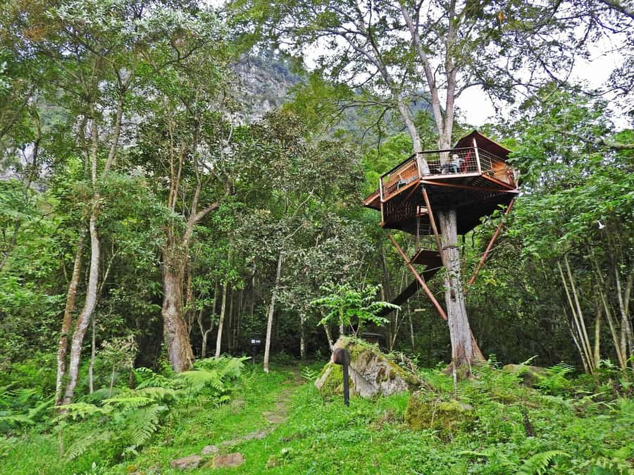 Bogota: Explore the forest and bird watching at Chicaque Natural Park - Reaching Chicaque Waterfall by foot