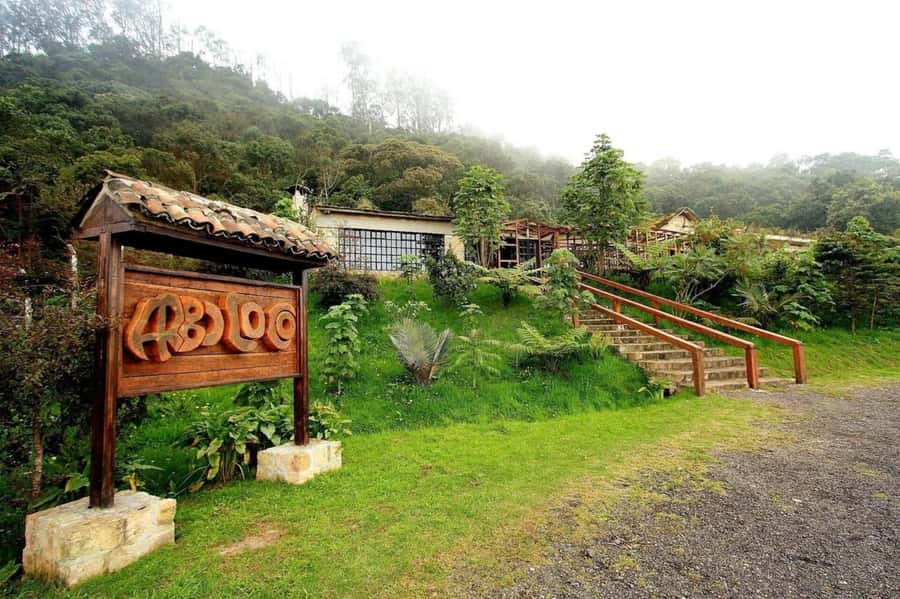 Bogota: Explore the forest and bird watching at Chicaque Natural Park - Lunch in the middle of the park