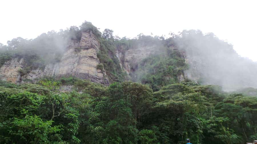 Bogota: Explore the forest and bird watching at Chicaque Natural Park - A quieter afternoon for photos and bird watching