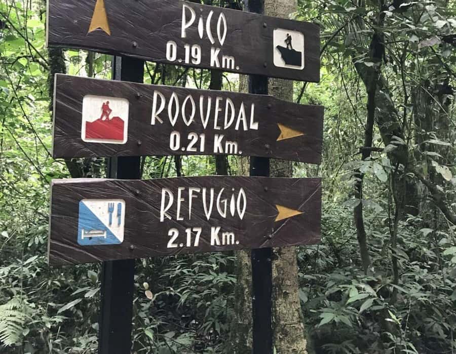 Bogota: Explore the forest and bird watching at Chicaque Natural Park - What the $127 price really covers