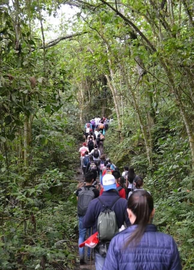 Bogota: Explore the forest and bird watching at Chicaque Natural Park - Choosing the right trail for your day