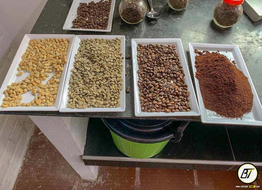 Bogotá: Guided Coffee Tour with Lunch, and Pickup & Drop-Off - Learning to identify coffee plants and beans