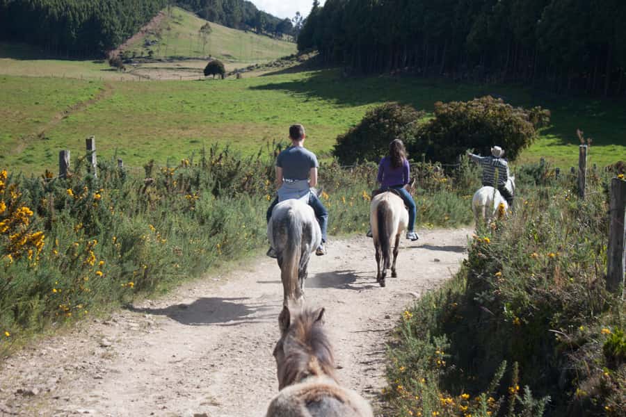 Bogota: Horseback Riding Tour - A one-hour route through forests, water, and mountain air