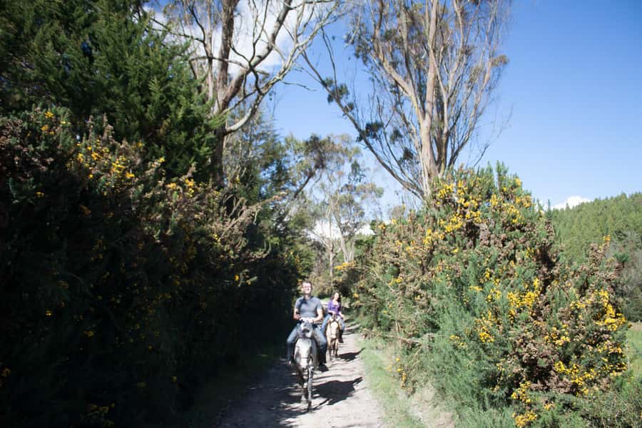 Bogota: Horseback Riding Tour - Meeting the horses and getting ready to ride