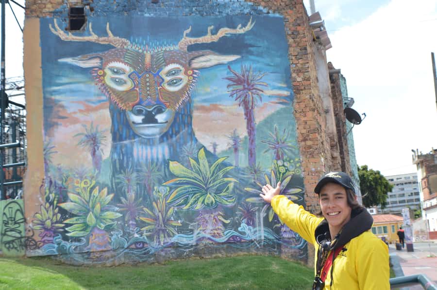 Bogotá: La Candelaria Graffiti & Urban Art Guided Tour - Language, pace, and practical limits