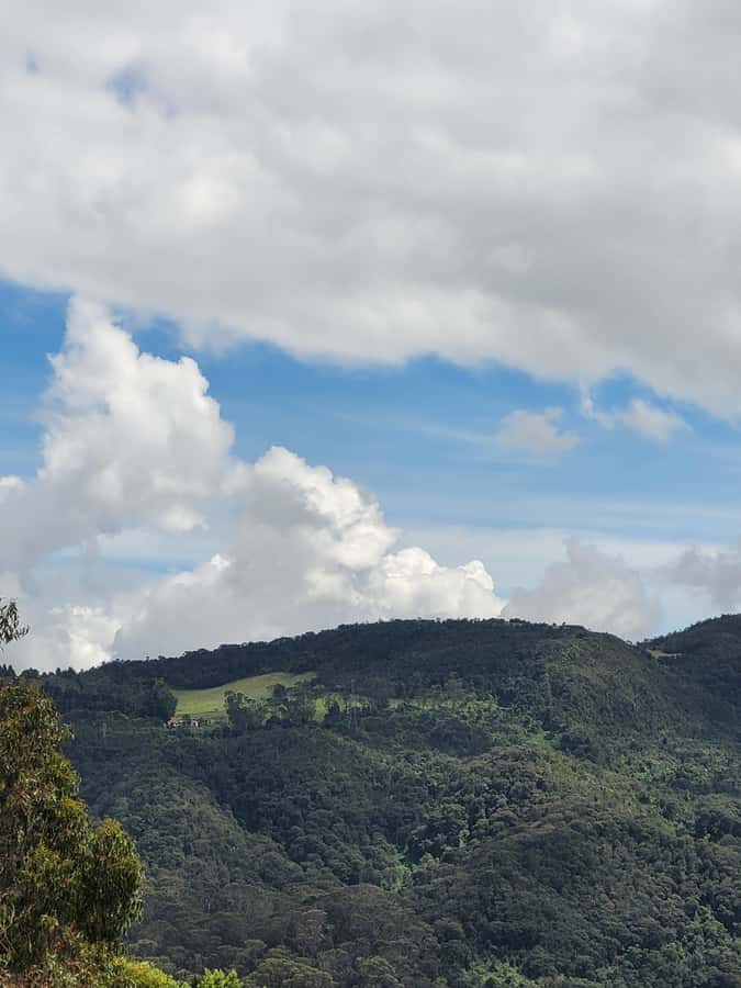 Bogota: Private Tour to Monserrate and Guadalupe - Booking details worth checking