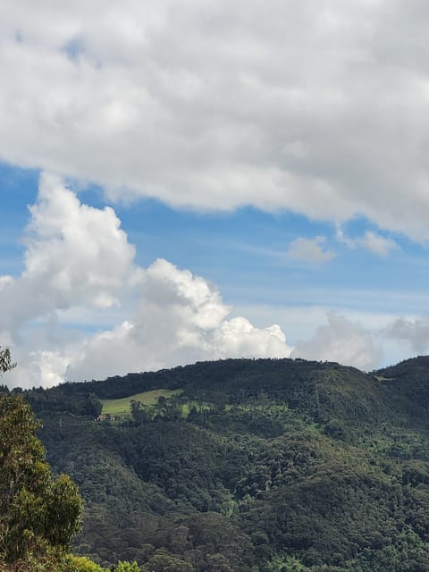 Bogota: Private Tour to Monserrate and Guadalupe - Guides José and Miguel add a personal touch