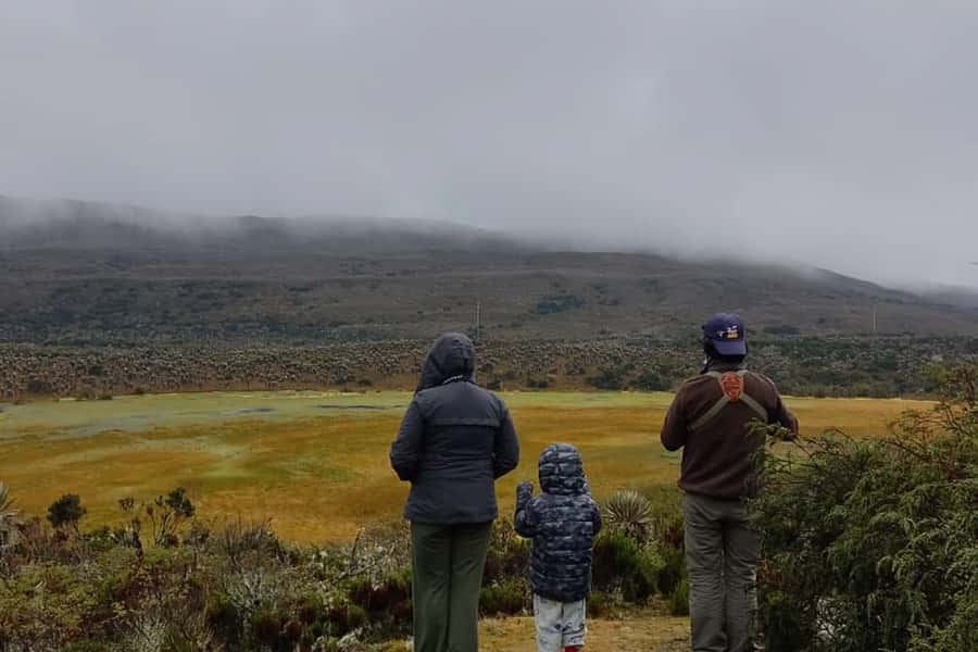Bogotá: Sumapaz National Park Hike Tour - Key points to know before you book