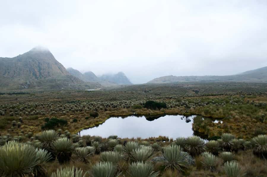 Bogotá: Sumapaz National Park Hike Tour - The hike: muddy paths, mist and open views