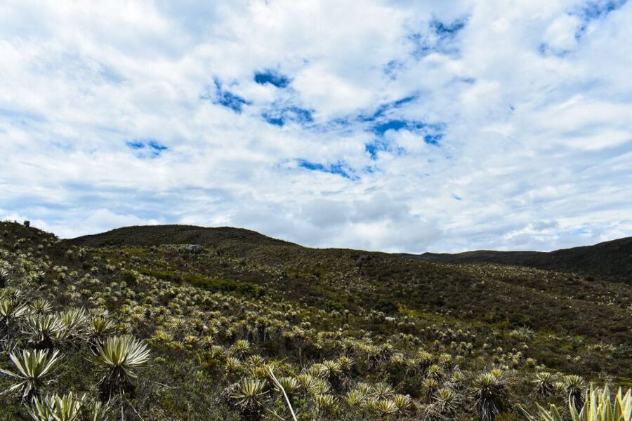 Bogotá: Sumapaz National Park Hike Tour - The private-group advantage