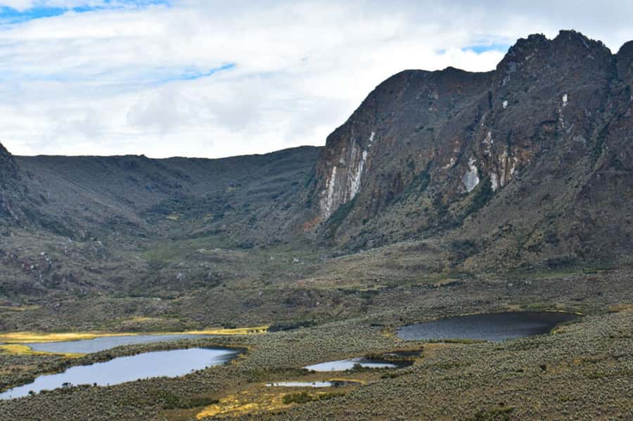 Bogotá: Sumapaz National Park Hike Tour - What makes the páramo so unusual